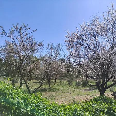 Mas Blauet - With 2 And Shared Pool Holiday home *